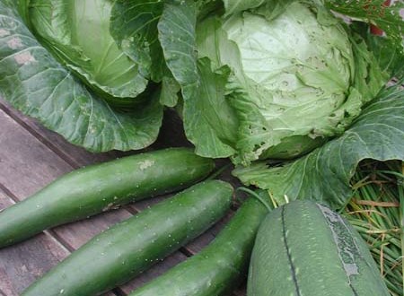 1380945494-972552313