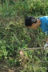 1380945524-4265696420