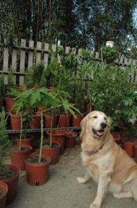 1380945524-972990797