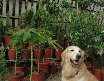 1380945524-972990797