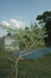 1380945525-1887155911