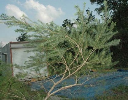 1380945525-1887155911