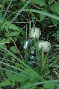 1380945527-3535789244