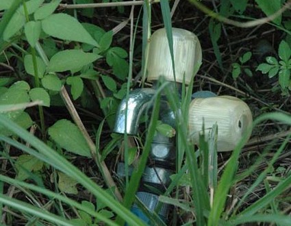 1380945527-3535789244