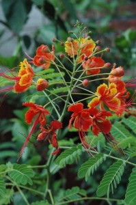 1380945540-812051761