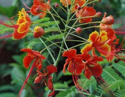 1380945540-812051761