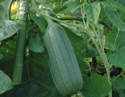 1380945541-1982783106