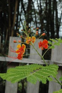 1380945541-2260490055