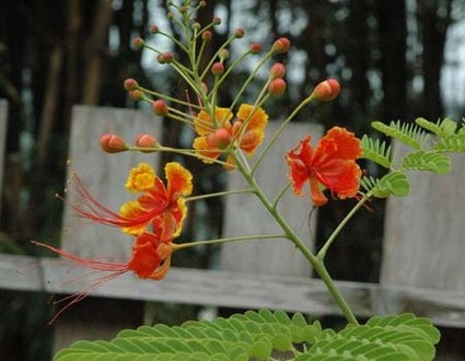 1380945541-2260490055