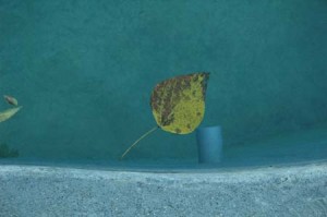 1380945542-2152959786