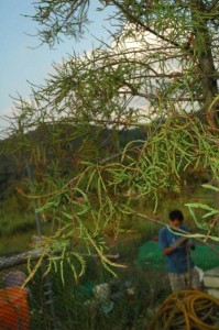 1380945542-3911109458