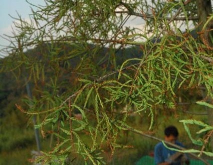 1380945542-3911109458