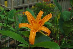 1380945579-3227656644