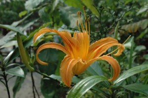 1380945580-250679254