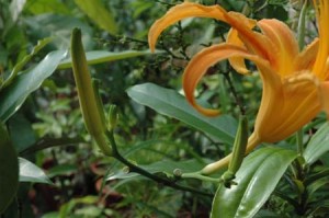 1380945580-2894559059