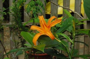 1380945580-3097854362