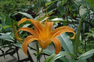 1380945581-668367183