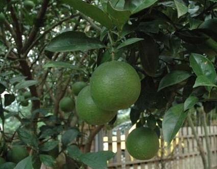 1380945616-828023652