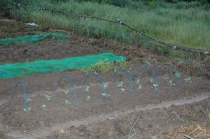 1380945617-2225282880