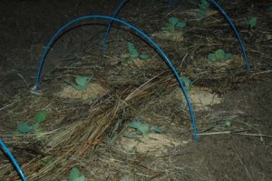 1380945618-135346020