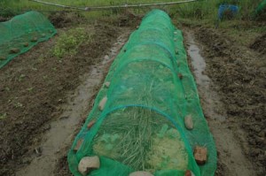 1380945618-3249643705