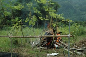 1380945619-1105232137