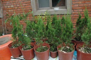 1380945619-556111268