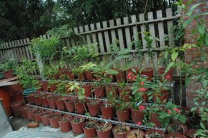 1380945620-3169977800