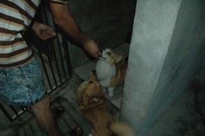 1380945667-1806749683