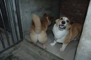 1380945668-3109859186