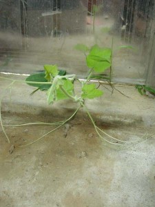 1380945675-1783598018