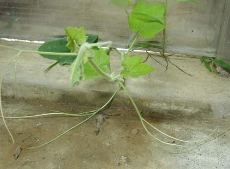 1380945675-1783598018