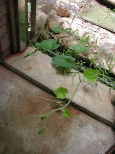 1380945675-3583738380