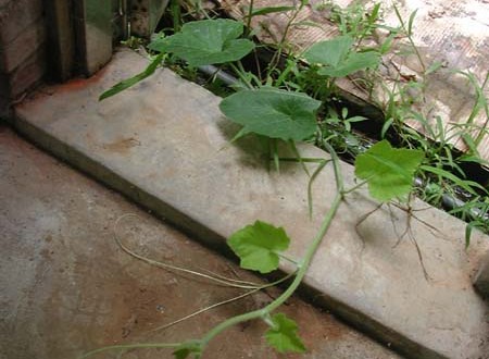 1380945675-3583738380