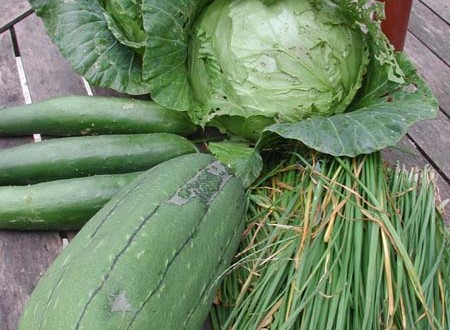 1380945679-1185962761