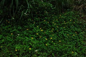 1380945694-716447248