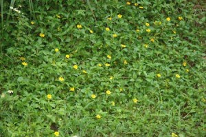 1380945696-2444544997