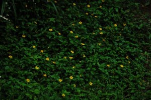 1380945696-3102315346