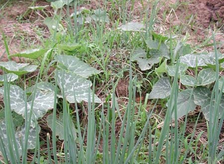 1380945703-929844600