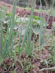 1380945704-3396843290