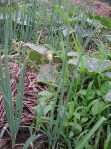 1380945704-799566242