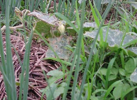 1380945704-799566242