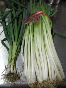 1380945705-2819106566