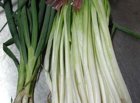 1380945705-2819106566