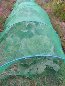 1380945705-699509697