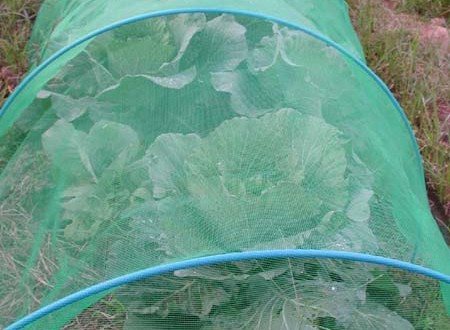 1380945705-699509697