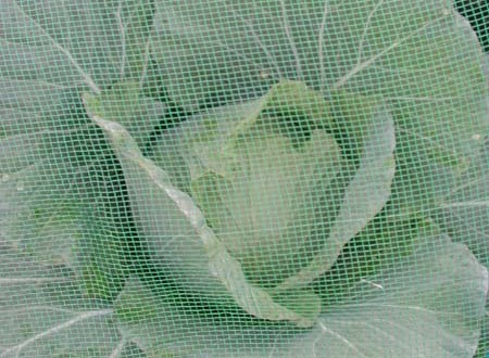 1380945706-1933317293