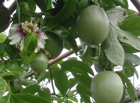 1380945706-3421546161