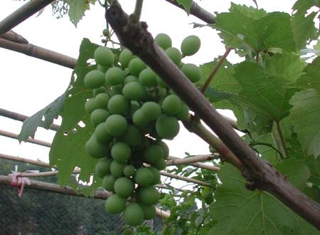 1380945707-3474162990