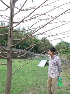 1380945714-3470926983